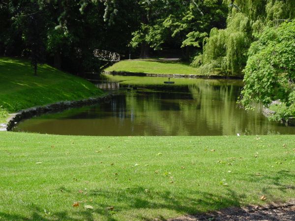Grote vijver1